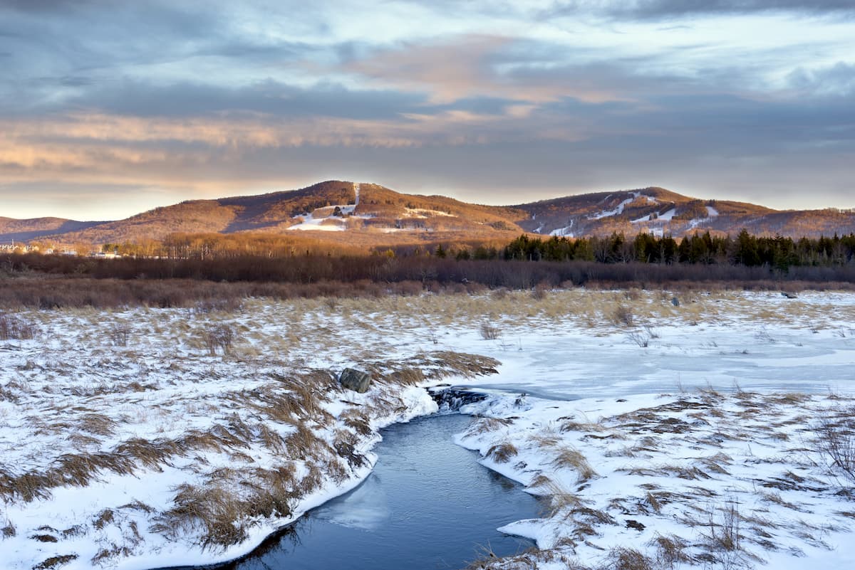 Canaan Valley. Dolly Sods Wilderness